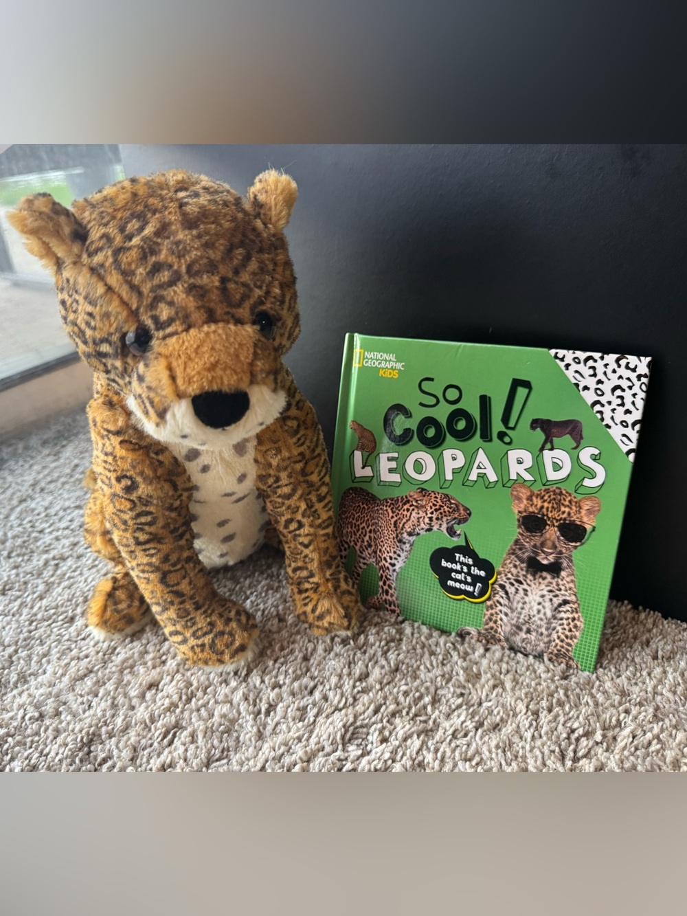 National Geographic Kids Leopard Plush Leopard & So Cool! Leopards Book